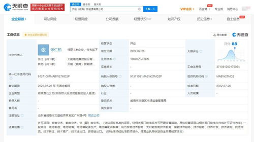 泰豪科技再拓疆域 投資設(shè)立新公司，聚焦信息系統(tǒng)集成服務(wù)